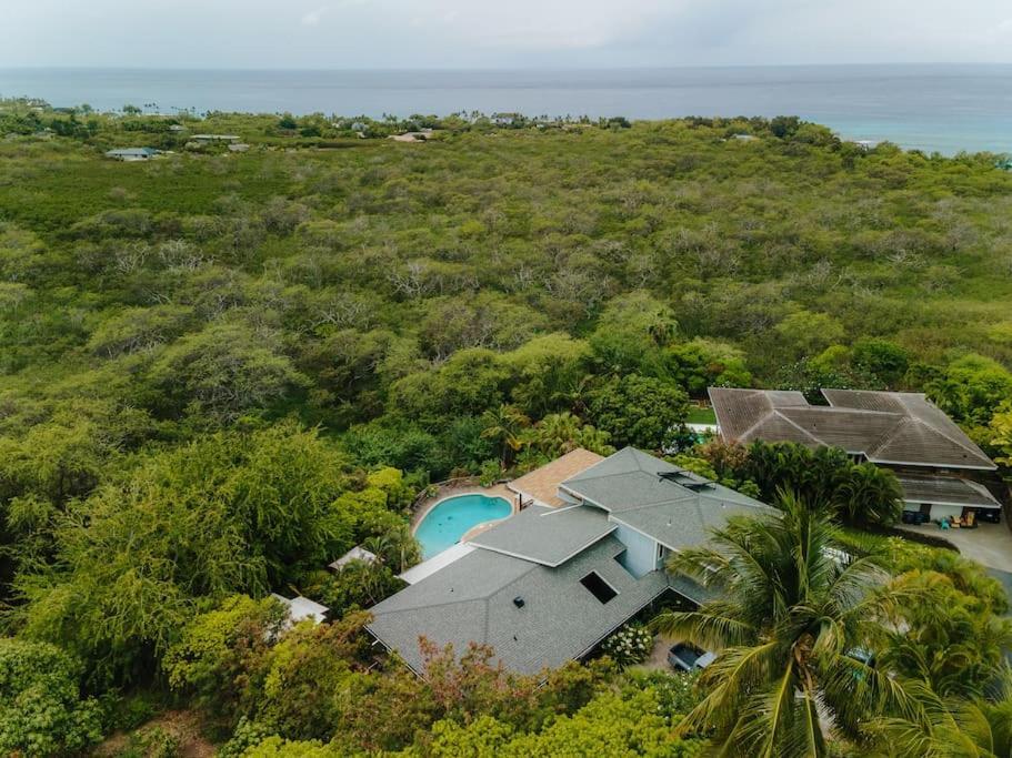 The Pohaku Studio At The Koi House Kailua-Kona Exterior foto